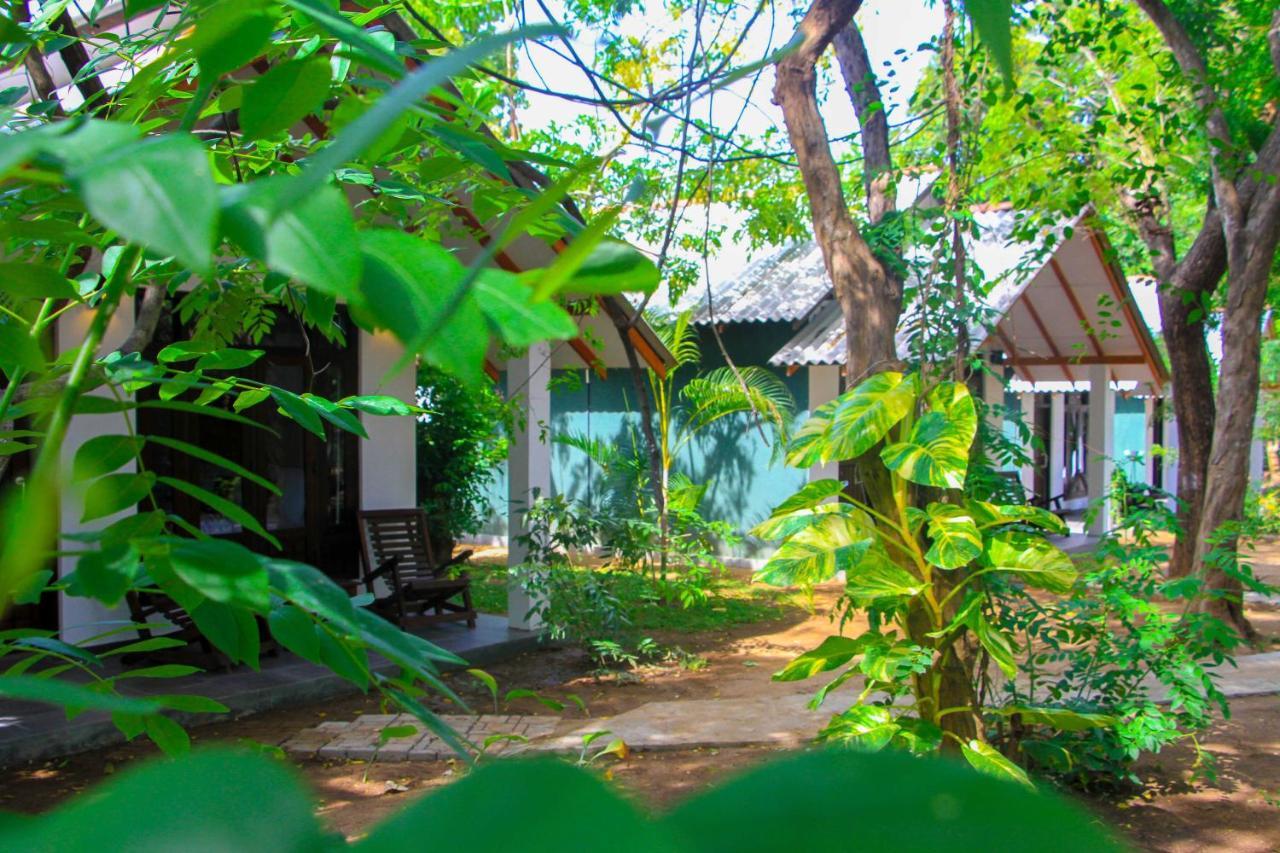 Palmyra Nature Resort Sigiriya Exterior photo